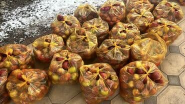 брендированные зип пакеты: Яблоки Превосходное, В розницу — 1