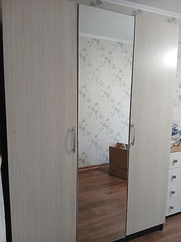 Шифоньер, шкаф для одежды, Прямой, ЛДСП