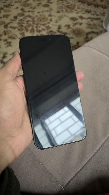 IPhone 15 Pro Max, Б/у, Графит