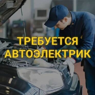 Читайте внимательно!!! нужен автоэлектрик !!! Требуется мастер