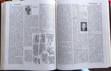 third edition solution: Издание Большой Советской Энциклопедии. Сборник включает в себя 31 — 7