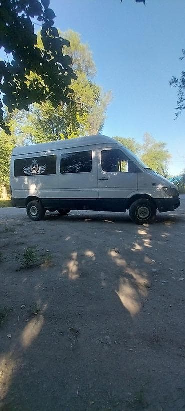 Mercedes-Benz Спринтер: 2003 г., 2.9 л, Фургон — 2
