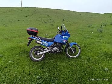 мотоцикл сова: Эндуро Suzuki, 650 куб. см, Бензин, Взрослый, Б/у — 3