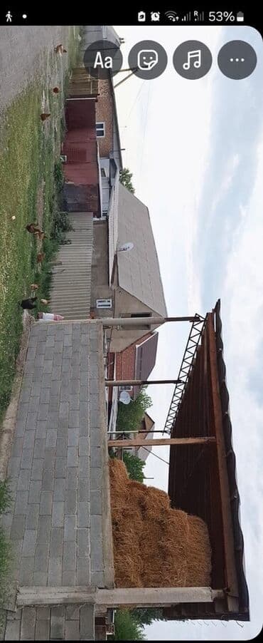 купить дом с большим участком: Үй, 30 кв. м, 9 бөлмө, Менчик ээси, Косметикалык оңдоо — 9