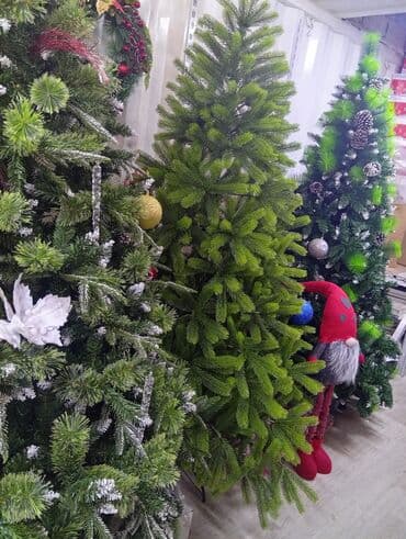 растения в аквариум купить: Все виды новогодних ёлок. от 0.6 до 4 метров. Украсит ваш дом — 7