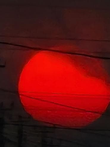 4 pot: Набор для рисования по номерам на холсте Что это: - Картина по — 8