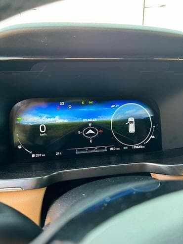 баа: Kia Sorento: 2020 г., 1.6 л, Гибрид — 10