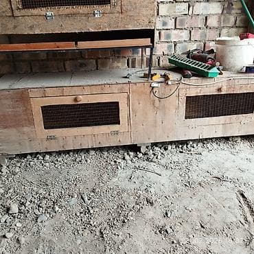 сельскохозяйственные животные продажа: Брудер для содержания мелких животных или птицы на подставке — 2