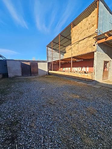 аренда берем: Кошара, 21 соток, Действующий, Отопление, Холодная вода, Электричество — 4