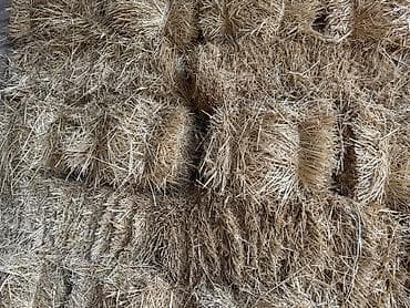 Животные: Солома в тюках - Культура: пшеничная/ - Форма: прямоугольные малые — 2
