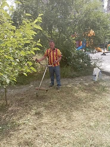 Уборка территории, Стрижка газона