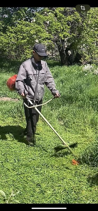 травим: Уборка территории, Стрижка газона — 1