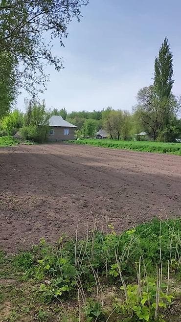 гитара за 2000: Услуги Вспашки огородов С Мотоблоком Сделаем порядок на вашем — 6