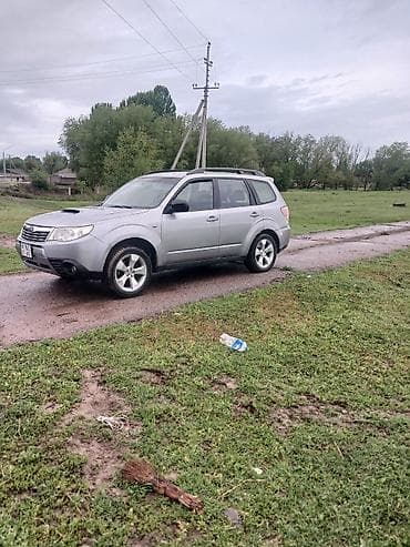 химия на авто: Subaru Forester: 2008 г., 2.5 л, Автомат, Газ, Универсал — 1