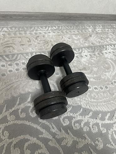 гантелей: Пара разборных гантелей из металла. Рукоятка из резины хорошое — 1