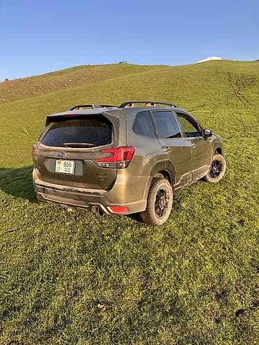 wilderness: Subaru Forester: 2022 г., 2.5 л, Вариатор, Бензин, Кроссовер — 3