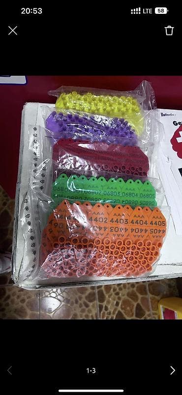 бирки для баранов: Всегда есть в наличии Всегда актуально Германские Бирки мрс овец — 2