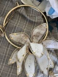 отдам даром животных бишкек: Даром — 4