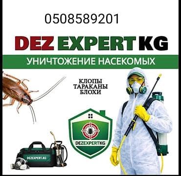 DEZ EXPERT KG — профессиональная дезинсекция. Уничтожение насекомых в