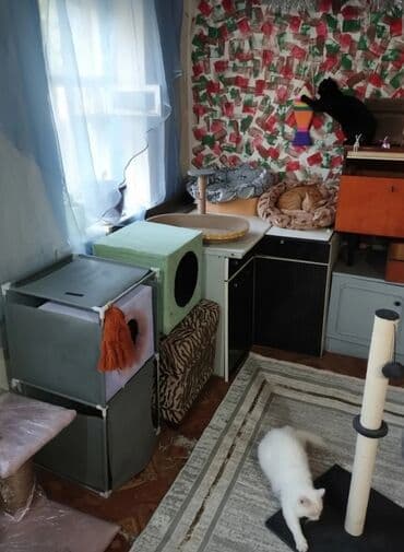 снять комнату в бишкеке на ночь: Гостиница для кошечек и маленьких собачек до 5 кг Предлагаем — 3