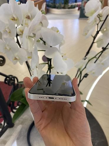 poco g4: IPhone 13, Б/у, 256 ГБ, White Titanium, Защитное стекло, Чехол, 80 % — 3