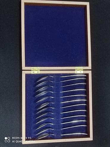 Посуда: Набор мельхиоровых ложек в подарочном футляре — 1