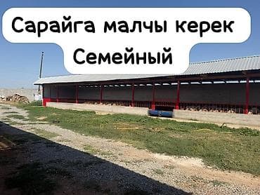 Сарайга жакшы уй булоо керек ичпеген таза жашаган сарайда бут условия at lalafo.kg Сарайга жакшы уй булоо керек ичпеген таза жашаган сарайда бут условия