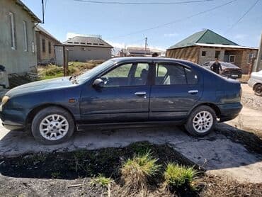 продаю или меняю с доплатой: Nissan Primera: 2000 г., 2 л, Вариатор, Бензин, Хэтчбэк — 2