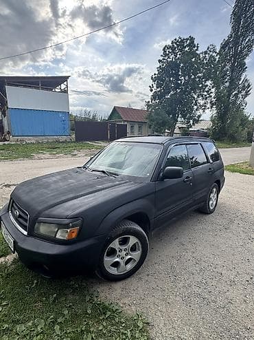 Продажа авто: Subaru Forester: 2003 г., 2 л, Автомат, Газ, Кроссовер — 1