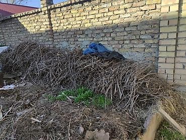 Отдам даром