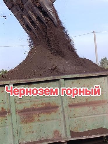 В тоннах, Зил