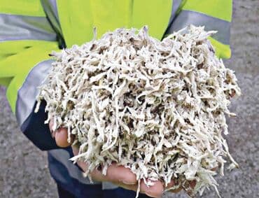 кой сойу: Жом жом жом жом доставка по городу и области Чуйской области жом для — 5