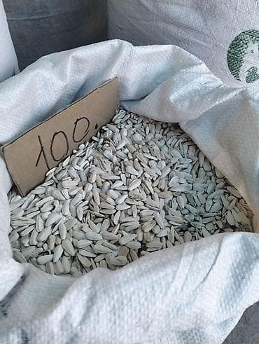 Семечки подсолнечные белые (в мешке, навал) - Крупные ядра в белой