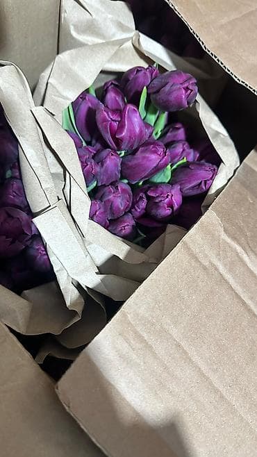 обертка для цветов: Тюльпаны срезанные, в крафт-упаковке. - Разновидности и окраски — 7