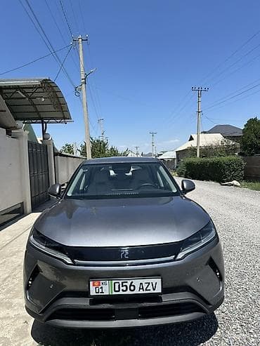 BYD Yuan Up: 2025 г., Электромобиль, Кроссовер