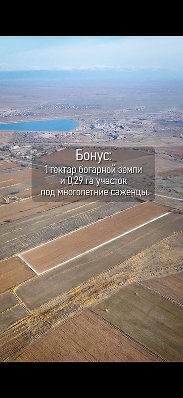 воост 2 участок: 319 соток, Для сельского хозяйства — 7