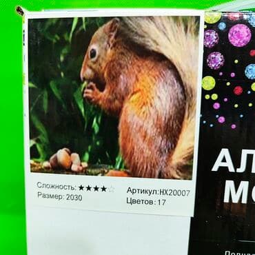 чемодан для рисования: Алмазная мозаика детское творчество в ассортименте💎Доставка, скидка — 4