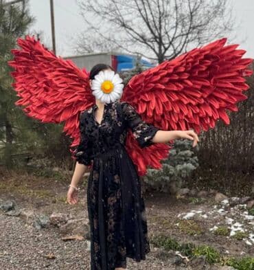 комнатные цветы купить бишкек: Карнавальные костюмы — 5