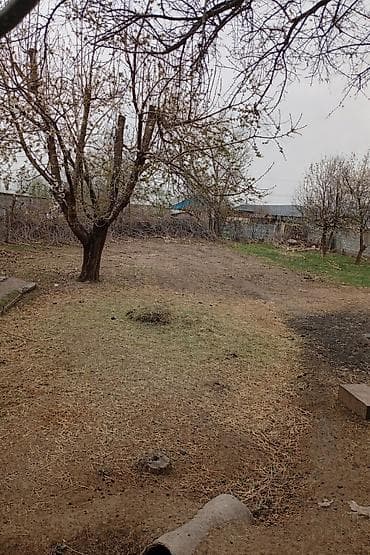 город каинда: 6 соток — 1