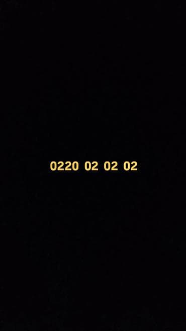 код 222: Красивый «золотой» номер: 0220 02 02 02 Особенности: - Лёгкий для — 1