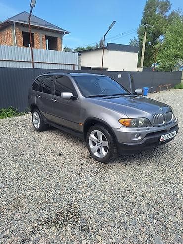 BMW X5: 2004 г., 3 л, Автомат, Дизель, Универсал