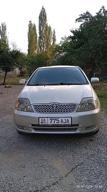 crv 1: Toyota Corolla: 2006 г., Механика, Седан — 4