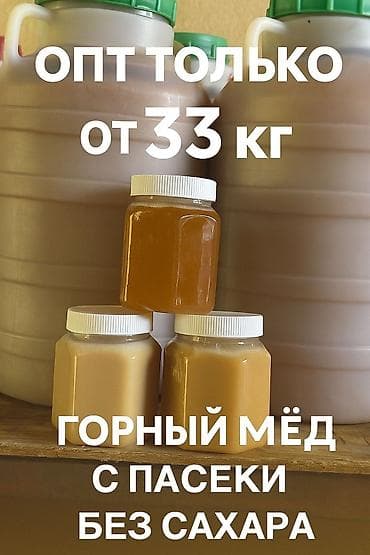 мёд горный: Горный мёд с собственной пасеки, без добавления сахара. Только опт от — 1