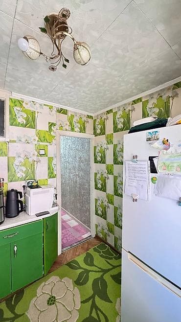 4: 2 комнаты, 45 м², БГУ Индивидуалка, 4 этаж, Косметический ремонт — 9