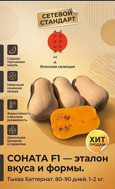 ручная мойка высокого давления: Тыква Баттернат СОНАТА F1 — эталон вкуса и формы. - Японская селекция — 1