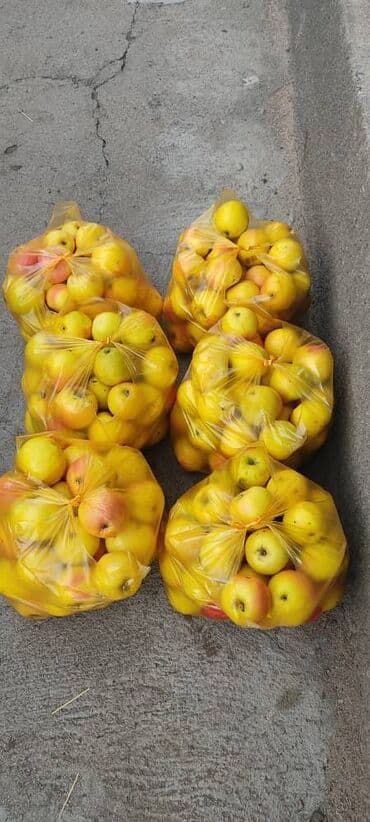 Яблоки Оптом