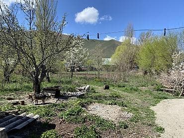 Недвижимость: Срочно продается дом!!! В связи с переездом с. Теплоключенка — 2