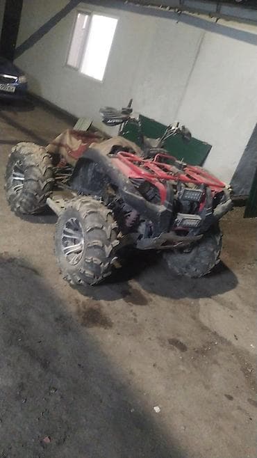 квадроц: Квадроцикл Yamaha, Бензин, 700 куб. см, Взрослый — 3