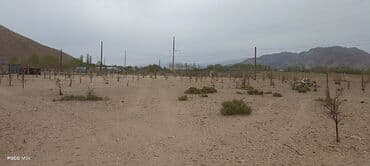 прадаю дом: 5 соток, Для бизнеса, Красная книга — 4