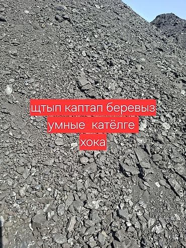 ош вещи: Каптап берүү жеткырүү сомасвал портер келип апкетго болот местада — 2